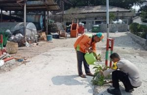 Bhabinkamtibmas Pulau Panggang dan Pulau Pramuka Giat Tanam Pohon Demi Lingkungan Bersih dan Sehat