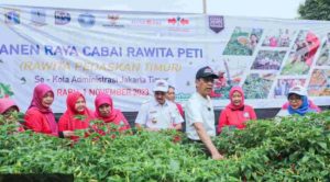 Pj Gubernur Heru Bagikan Hasil Panen 3,5 Ton Cabai Rawit di Jakarta Timur kepada Warga