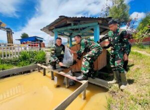 Satgas Yonif 509 Kostrad Tanam Sayur dan Tabur Benih Ikan Lele Untuk Warga Papua