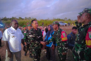 Panglima TNI didampingi Pangdam XVII/Cenderawasih Tinjau Lahan Food Estate 1.000 Ha dan Pompanisasi