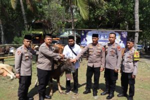 Kapolres Kepulauan Seribu Distribusikan Hewan Kurban di Hari Raya Idul Adha 1445 H