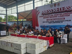 DIRKRIMSUS POLDA KEPRI HADIRI KEGIATAN KONFERENSI PERS PENYELUDUPAN BENIH BENING LOBSTER SEBANYAK 237.305 BENIH BENING LOBSTER SENILAI 23,6 MILIAR RUPIAH