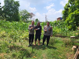 Dukung Ketahanan Pangan Nasional Asta Cita Presiden RI, Polsek Cilincing Cek Lahan yang Digunakan Pertanian di Pondok Pesantren Ash Sholihin Rorotan