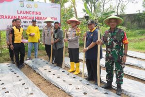 Kegiatan Launching Gerakan Pangan Merah Putih Polsek Cilincing