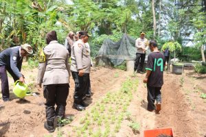 Kapolres Kepulauan Seribu Kunjungi Pulau Karya, Dukung Program Ketahanan Pangan Presiden