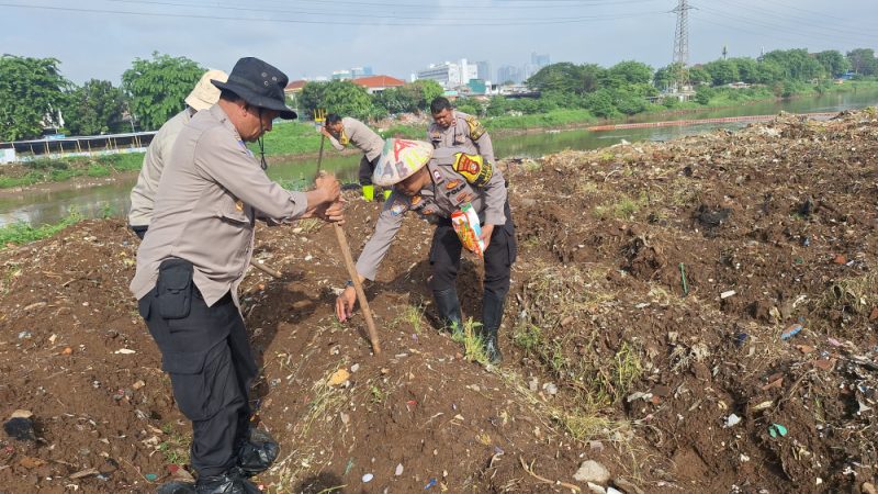 Jaga Ketahanan Pangan Polsek Metro Tanah Abang Lakukan Penanaman Jagung Di Bantaran Kali Ciliwung 