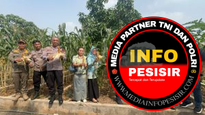Wujud Nyata Dukung Swasembada Pangan 2025, Polsek Koja Panen Raya Jagung Serentak Kuartal II 